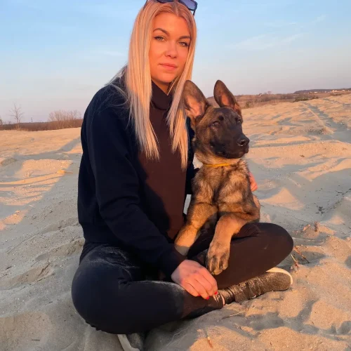 siklósi zsófia állatorvos